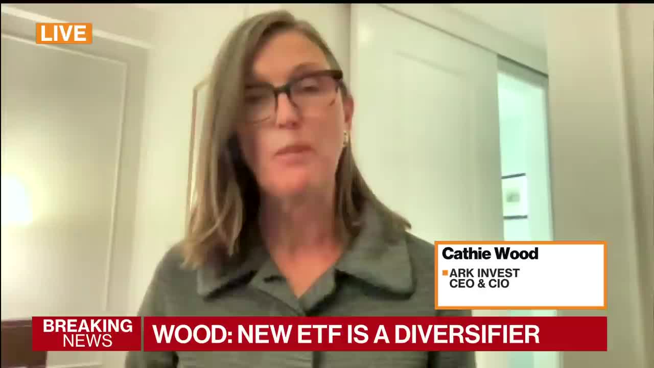 Cathie Wood 说我们正在经历 “自我反省”